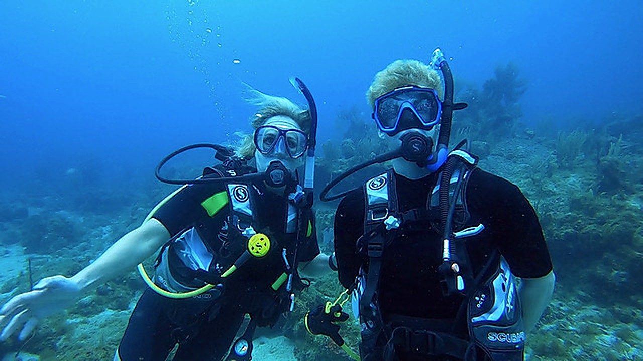 Dive duo on reef