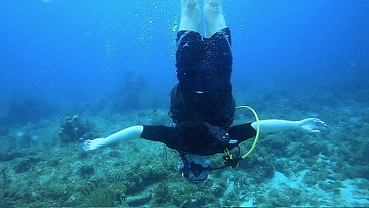 Diver flipping