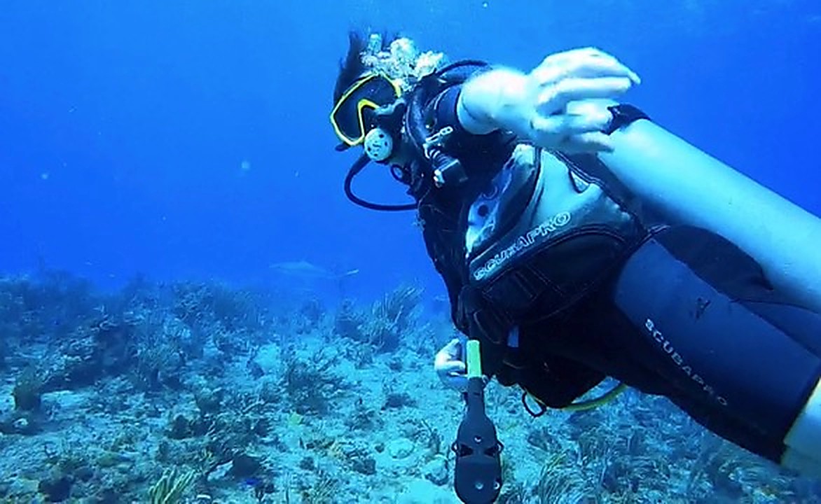 Solo diver